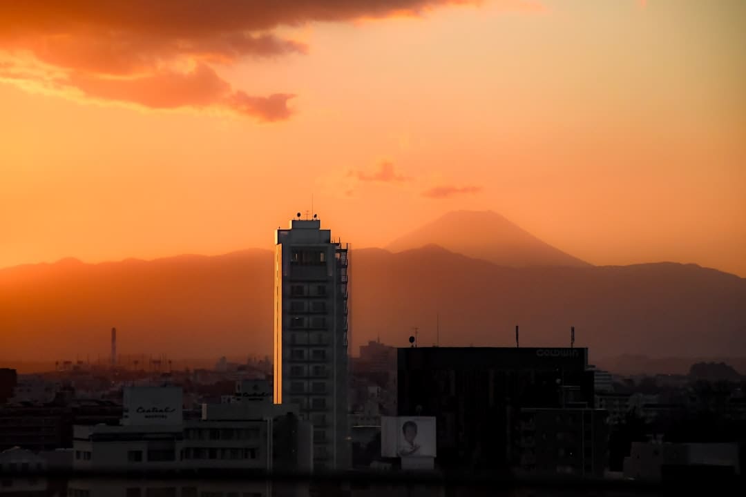 本年上半年福建省出口集装箱10.2亿元